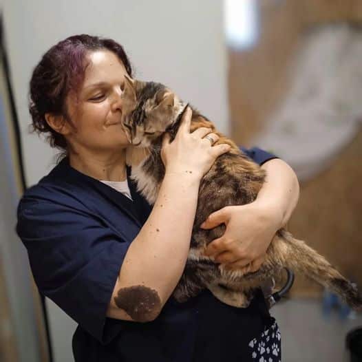 ambulatorio-veterinario-animalia-anouk