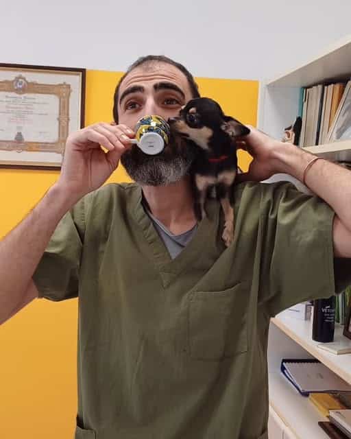 ambulatorio-veterinario-animalia-pongo